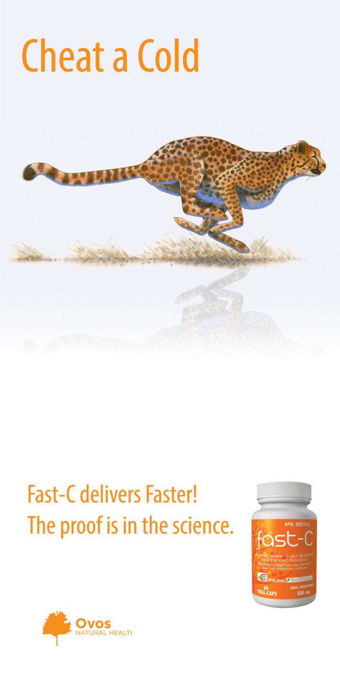 Fast-C-Poster