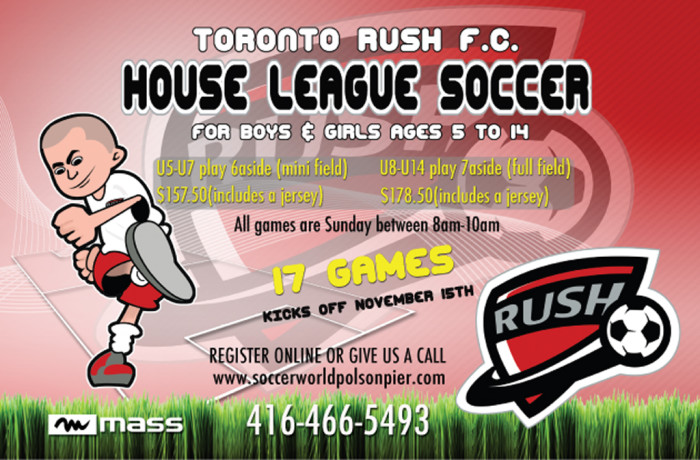 Houseleague